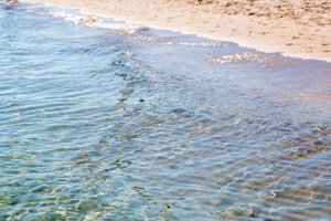 the beach